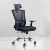 Homely Hawk Chair