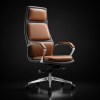 Homely Vassio Chair