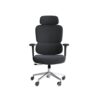 Homely Rapid Chair