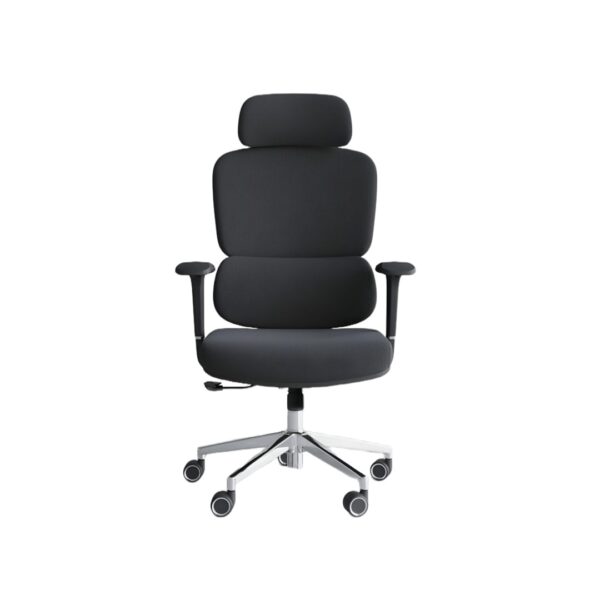 Homely Rapid Chair