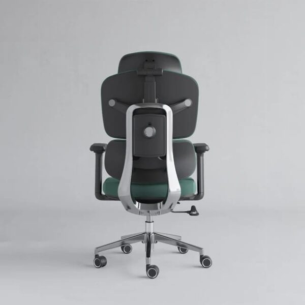 Homely Rapid Chair