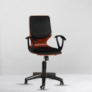 Homely Rexine Chair