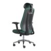Homely ErgoFlex Pro Chair