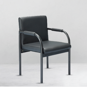 Homely Veyra Chair