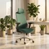 Homely-ErgoFlex-Pro-Chair-aa Homely ErgoFlex Pro Chair