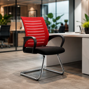 Homely Royal Guest Visitior Chair