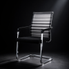 Homely Veyro Chair