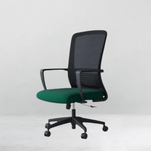 Homely Astrix Chair