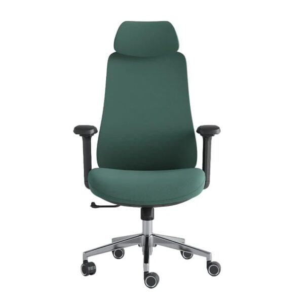 Homely ErgoFlex Pro Chair