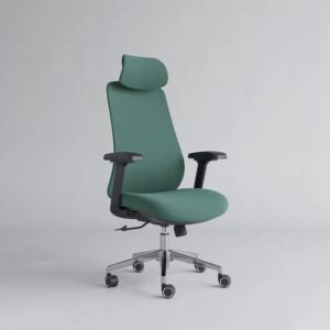 Homely ErgoFlex Pro Chair