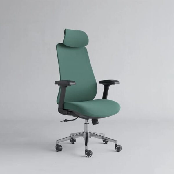 Homely ErgoFlex Pro Chair