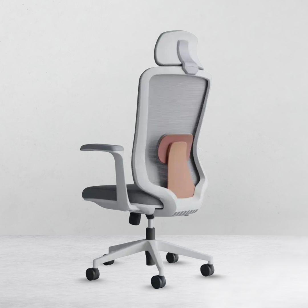 Homely AeroMesh Ergonomic Chair