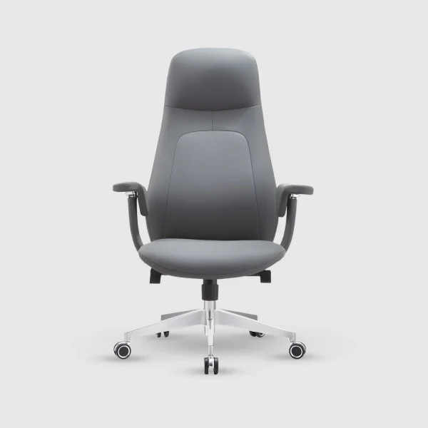 Anex Premium Executive Director Chair (1) Anex Premium Executive Director Chair