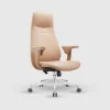 Anex Premium Executive Director Chair (3) Apex Premium Executive Director Chair